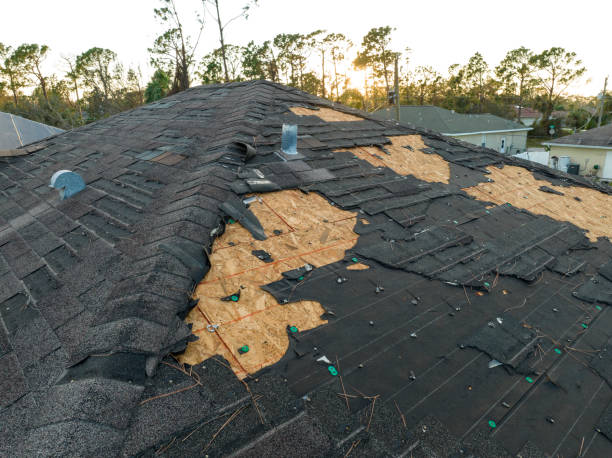 Best Skylight Installation and Repair  in Liberty, IN